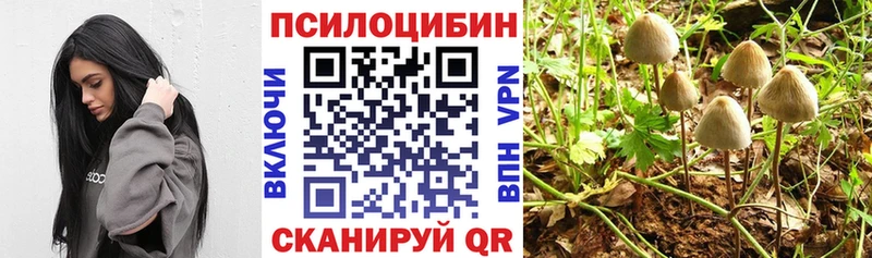 Галлюциногенные грибы MAGIC MUSHROOMS  Полярные Зори 